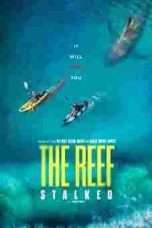 The-Reef-Stalked-2022