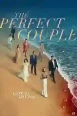 The Perfect Couple Season 1